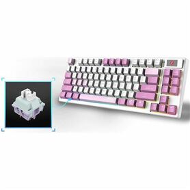 KB MSI FORGE GK600 TKL W VIOLET US